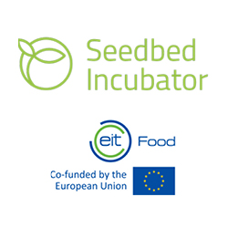 Seedbed Incubator's logo