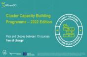 Cluster Capacity Building Programme – 2022 Edition